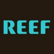 REEF 